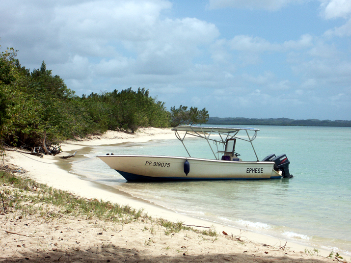 25 - Mangrove 028.jpg - DCF 1.0